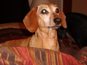 Ferguson Causey-King